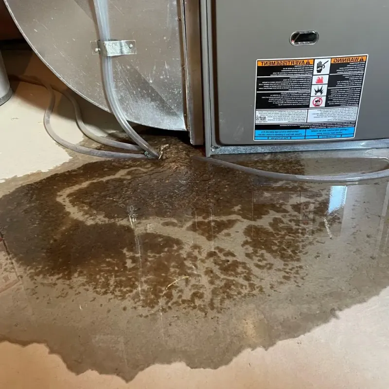 Pipe Burst and Leak Restoration in West Carrollton City, OH